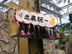 -南宫五洲植物乐园