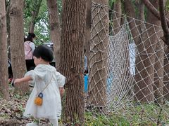 -同里国家湿地公园