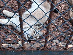 -大连森林动物园