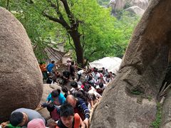 -嵖岈山风景区