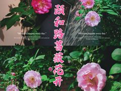 -颐和路民国时期公馆-风貌区