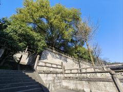 -柯岩风景区