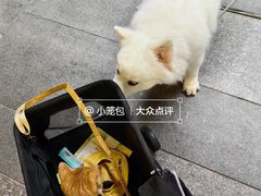 -瑞虹新天地月亮湾