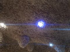 -长春宾馆·丽豪浴都