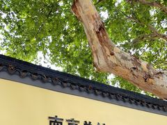 -南京中国近代史遗址博物馆(南京总统府)