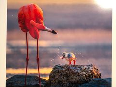 -罗红摄影艺术馆