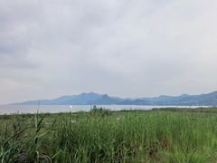 -抚仙湖禄充风景区