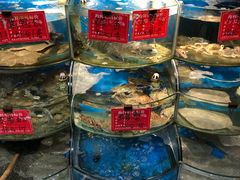 水产区-北戴河庆山饭店·海鲜砂锅粥(北戴河黑石路店)