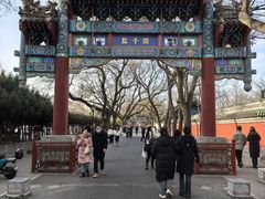 -北京国子监胡同