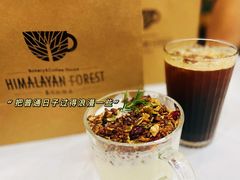 -喜马拉雅森HIMALAYAN FOREST