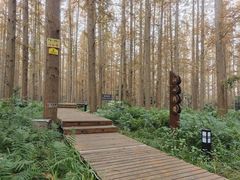 -上海怡沁园度假酒店