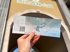 -黄贤森林公园