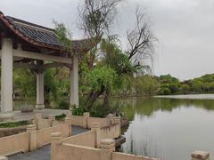 -八大山人梅湖景区