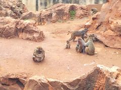 -昆明动物园