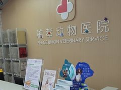 -柏萃动物医院·骨科·牙科