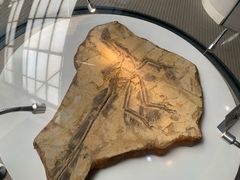 -辽宁古生物博物馆