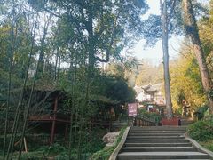 -青城山
