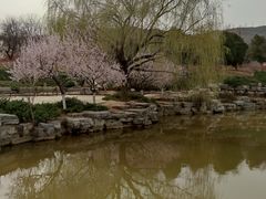 -北京西山国家森林公园