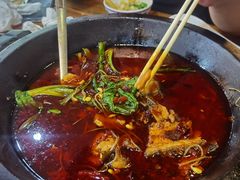 -都江堰石锅鱼