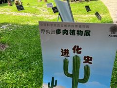 -中国科学院西双版纳热带植物园