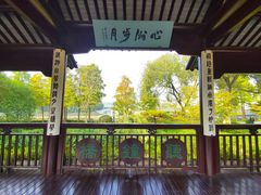 -枫桥景区