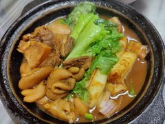 牛腩啫啫粉-珍珍小食店(西华路店)