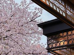 -玛格萝妮比萨屋(四平店)