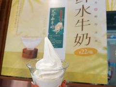 双皮奶冰淇淋-民信老铺(双皮奶博物馆店)