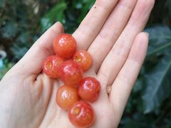 -丽江花间堂·隐泉院