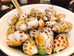-新兴·金羊座·粤菜点心(乐峰店)