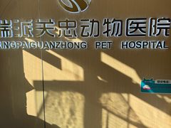 -瑞派·关忠动物医院·猫专科·犬专科(三环新城店)