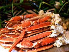 -太湖饭店玉兰厅(自助餐厅)