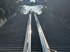-五龙山野生动物王国