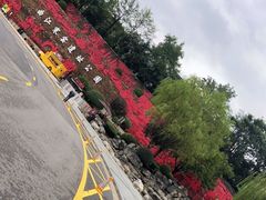 -西安曲江寒窑遗址公园
