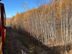 -莫尔道嘎国家森林公园