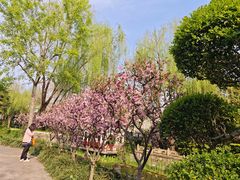 -兰溪青年公园