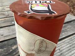 葡萄柚果粒茶-TPLUS茶家(淮海店)