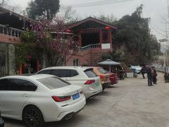 -桃源山庄·水蜜桃采摘·柴火鸡·烧烤团建(龙泉山店)