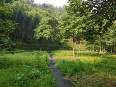-莫干山风景区
