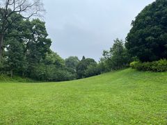 -南山植物园