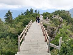 -牛背梁国家森林公园