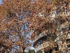 -四川农业大学(雅安校区)