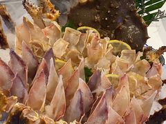 -半岛听涛蒸汽海鲜自助(K11店)