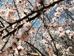 -奥体中心(地铁站)