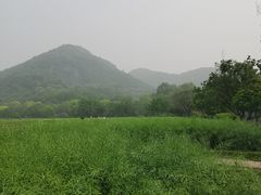 -八卦田遗址公园