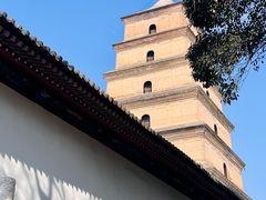 -大慈恩寺(大雁塔)