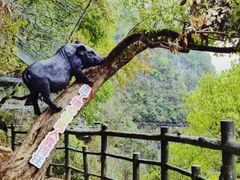 -蝶舞清江·恩施地心谷景区