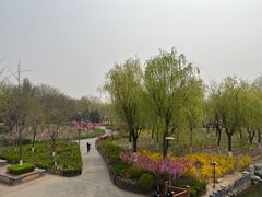 -大兴滨河森林公园