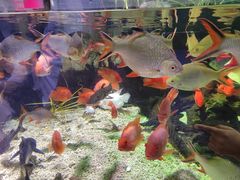 -太平洋海底世界