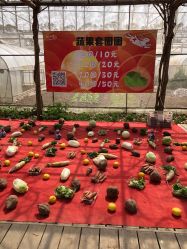 -前小桔亲子创意农场·草莓采摘·露营烧烤
